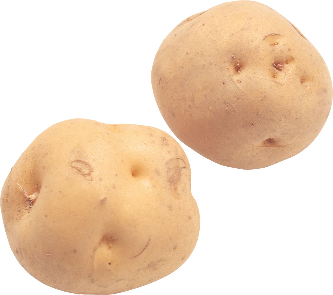 2 potatoes png images    图片编号:7095
