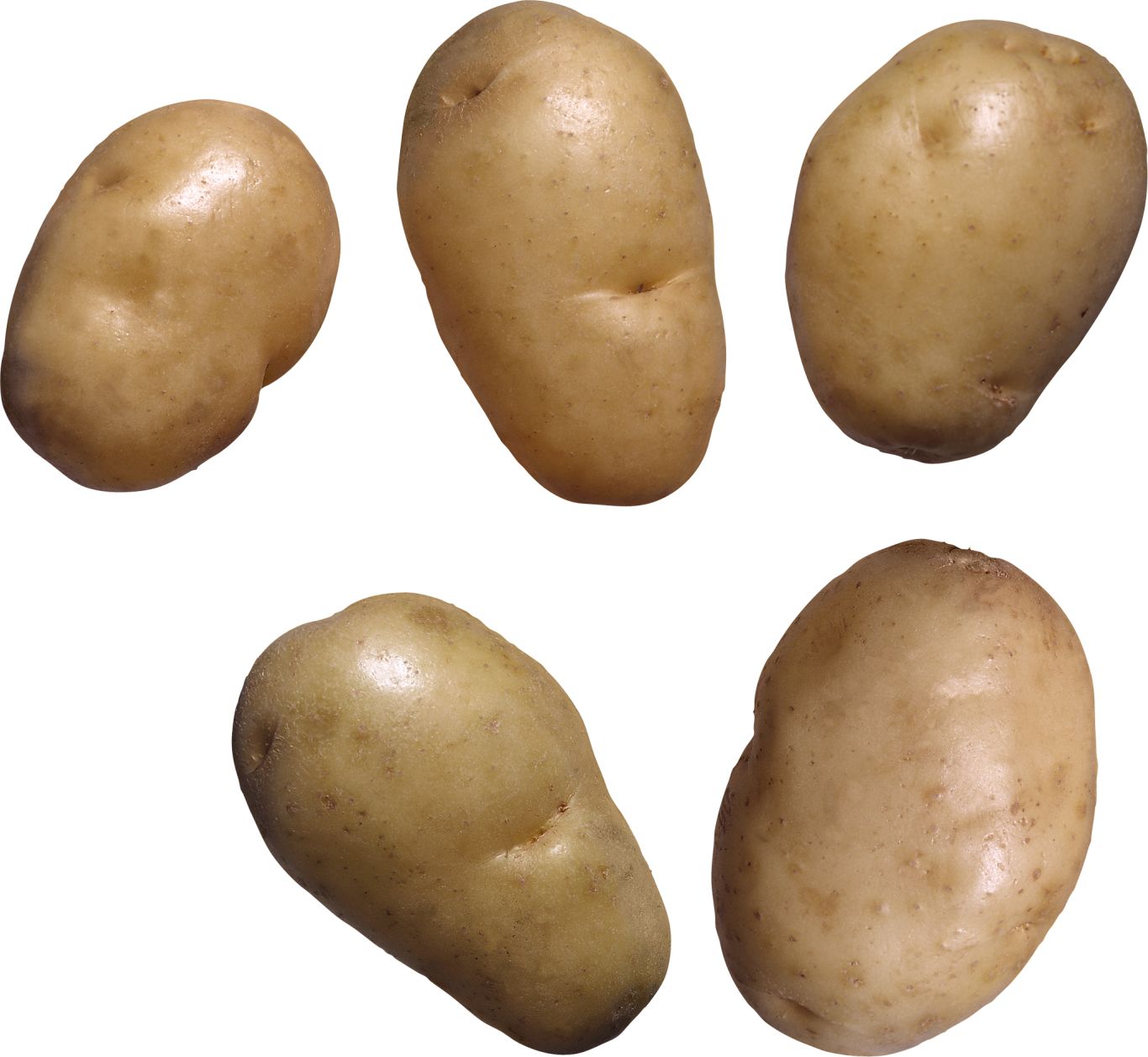 5 Potatoes PNG picture    图片编号:98063