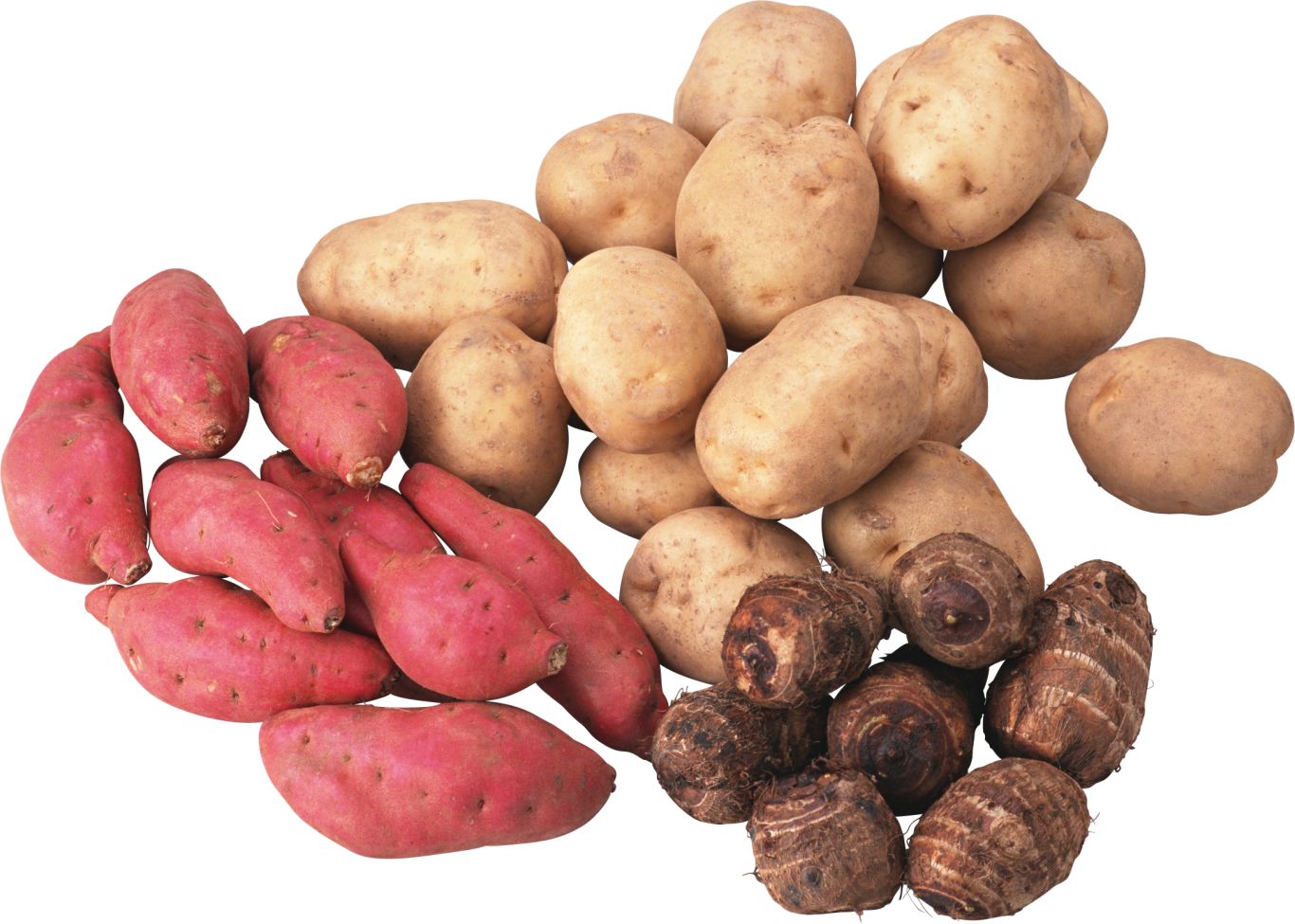 Potatoes with vegetables PNG image    图片编号:98067