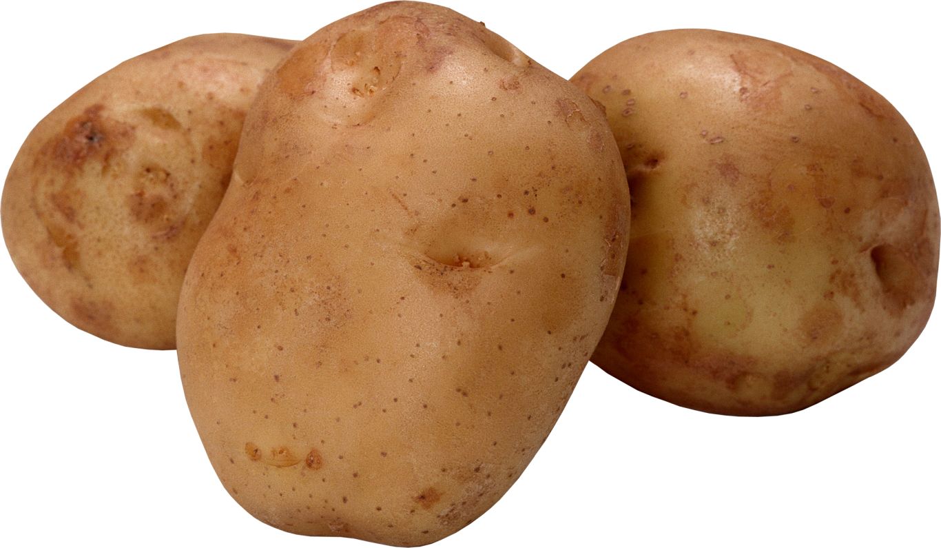 Three potatoes PNG    图片编号:98072