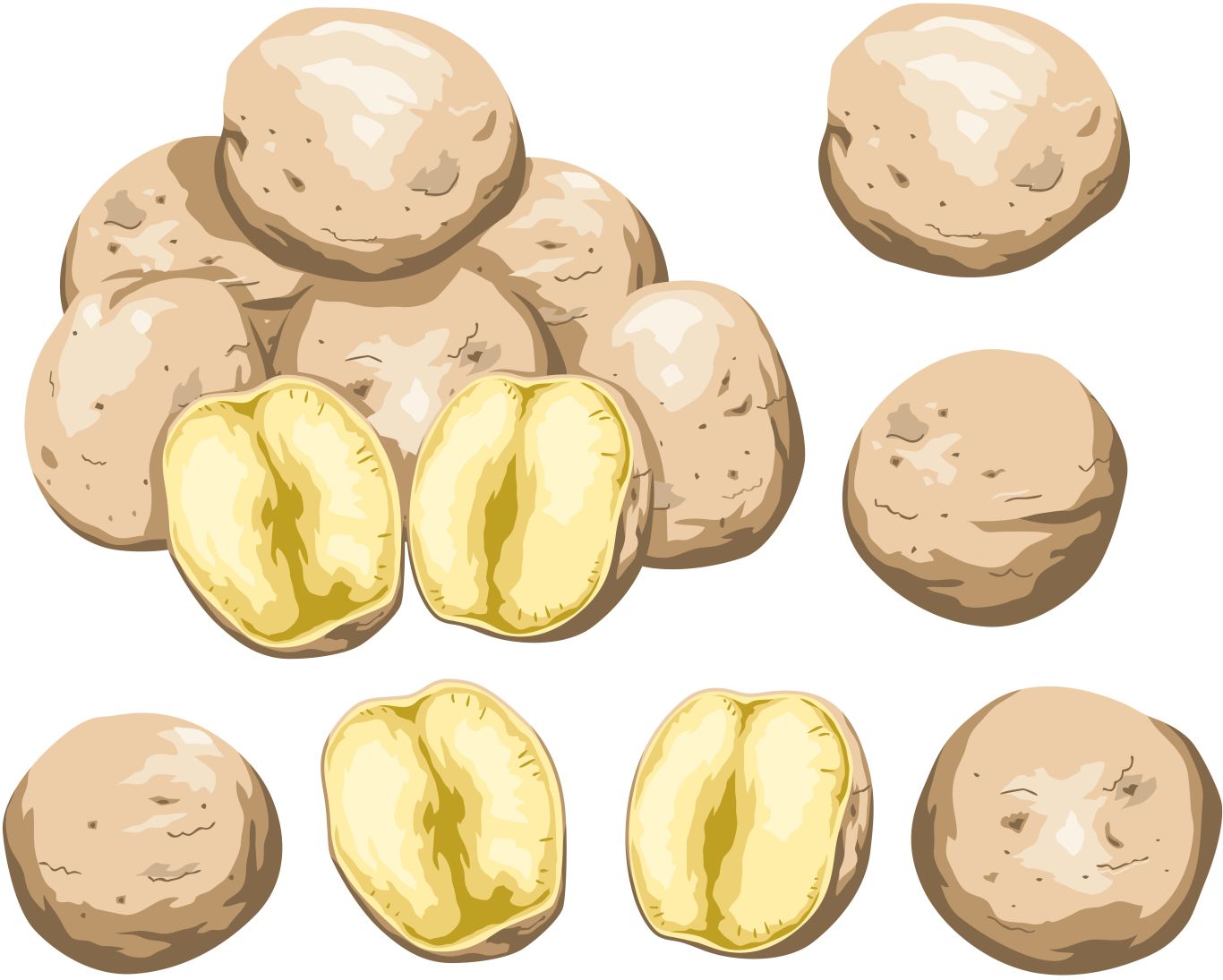 Cutted potatoes PNG    图片编号:98080