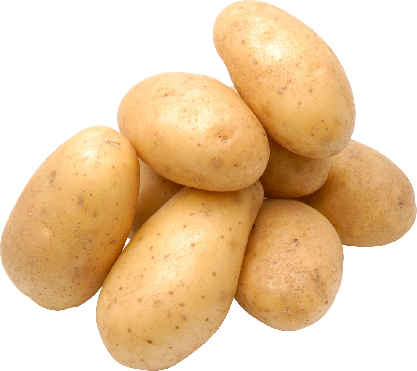 Fresh potatoes PNG    图片编号:98083