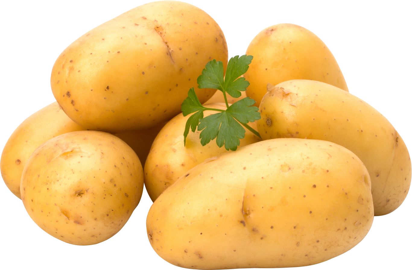Several potatoes PNG    图片编号:98085