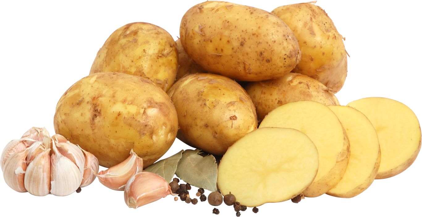 Many potatoes PNG    图片编号:98092