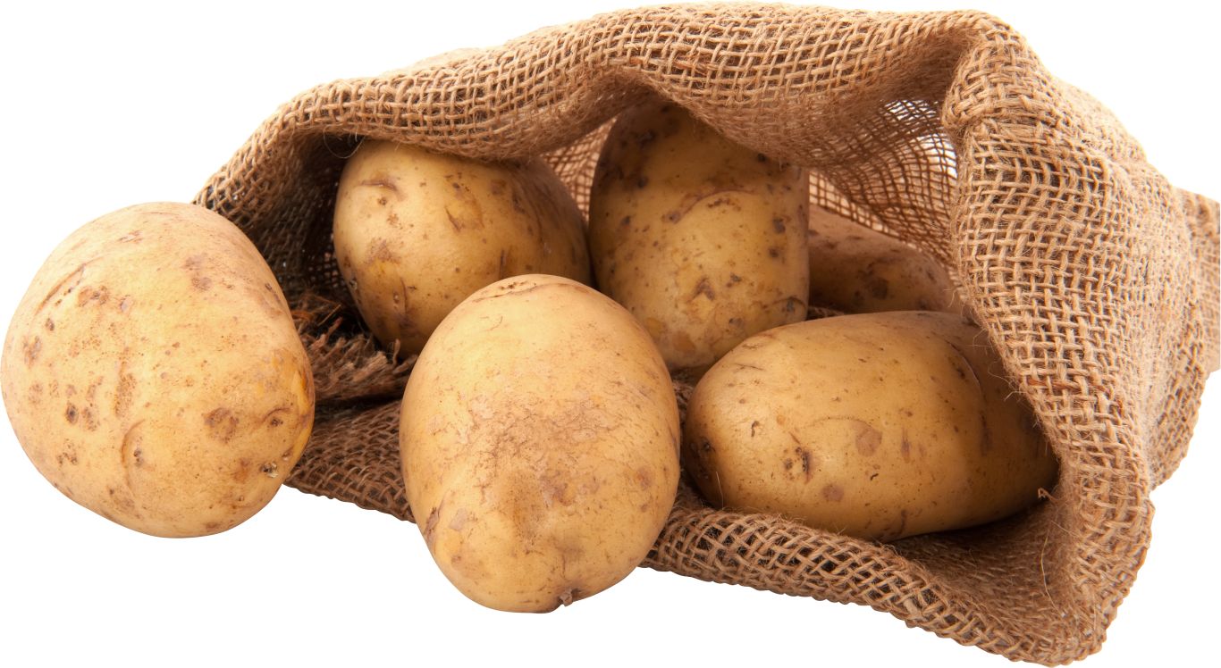 Potatoes PNG picture    图片编号:98093