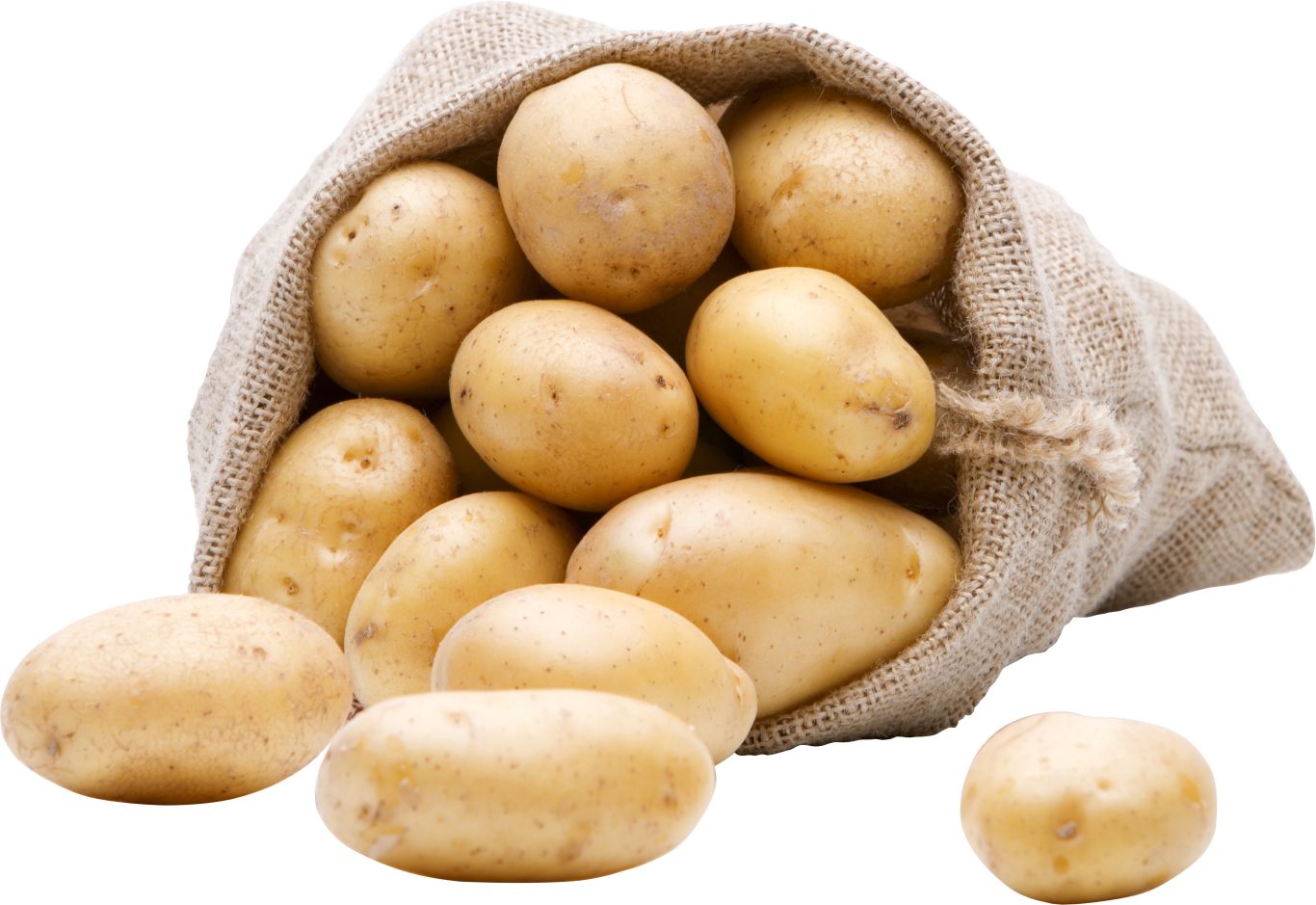 Potatoes PNG image    图片编号:98094