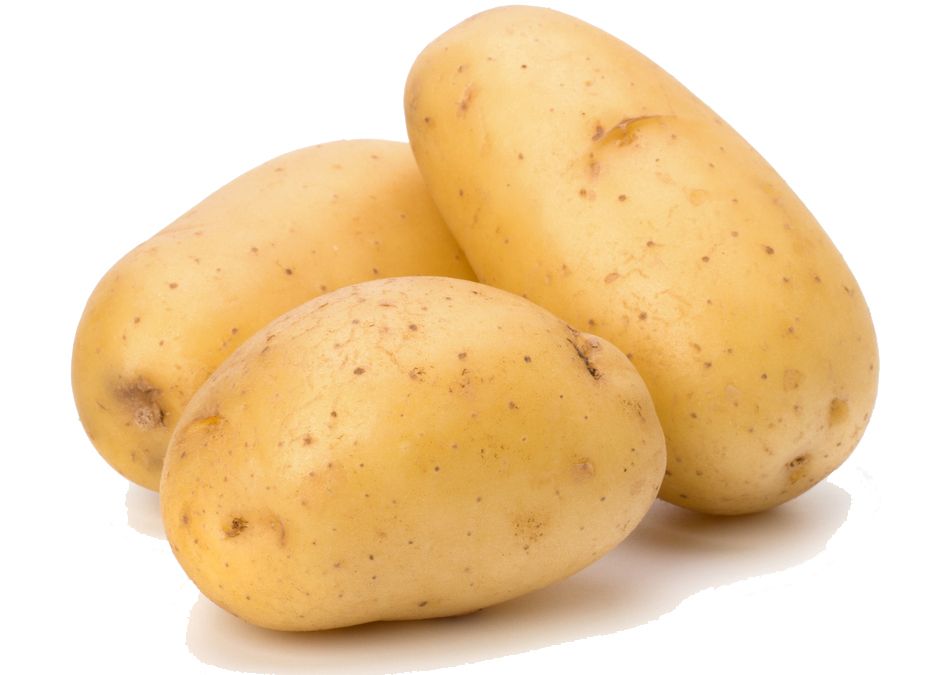 Potato png images, pictures, free download    图片编号:2391