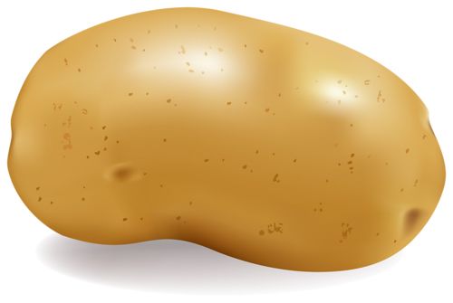 Potato PNG image, pictures, free download    图片编号:2392