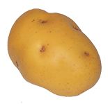 Potato png images, pictures, free download    图片编号:2394