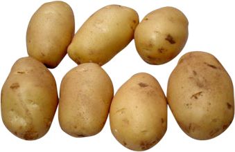 Potato png images, pictures, free download    图片编号:2396