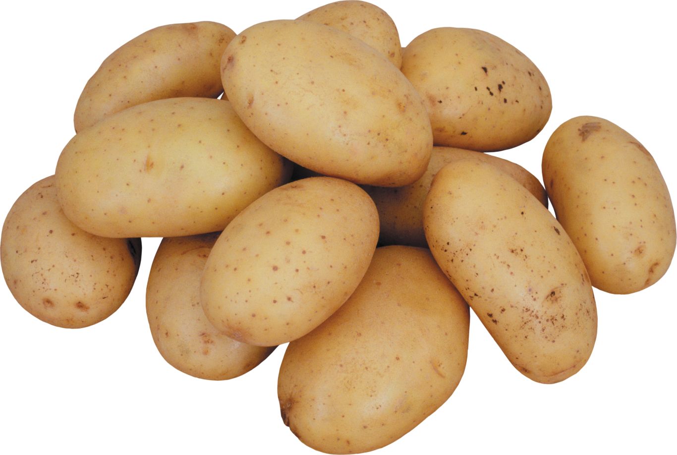 Potato png images, pictures, free download    图片编号:2398