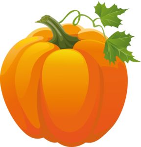 Pumpkin PNG    图片编号:86647