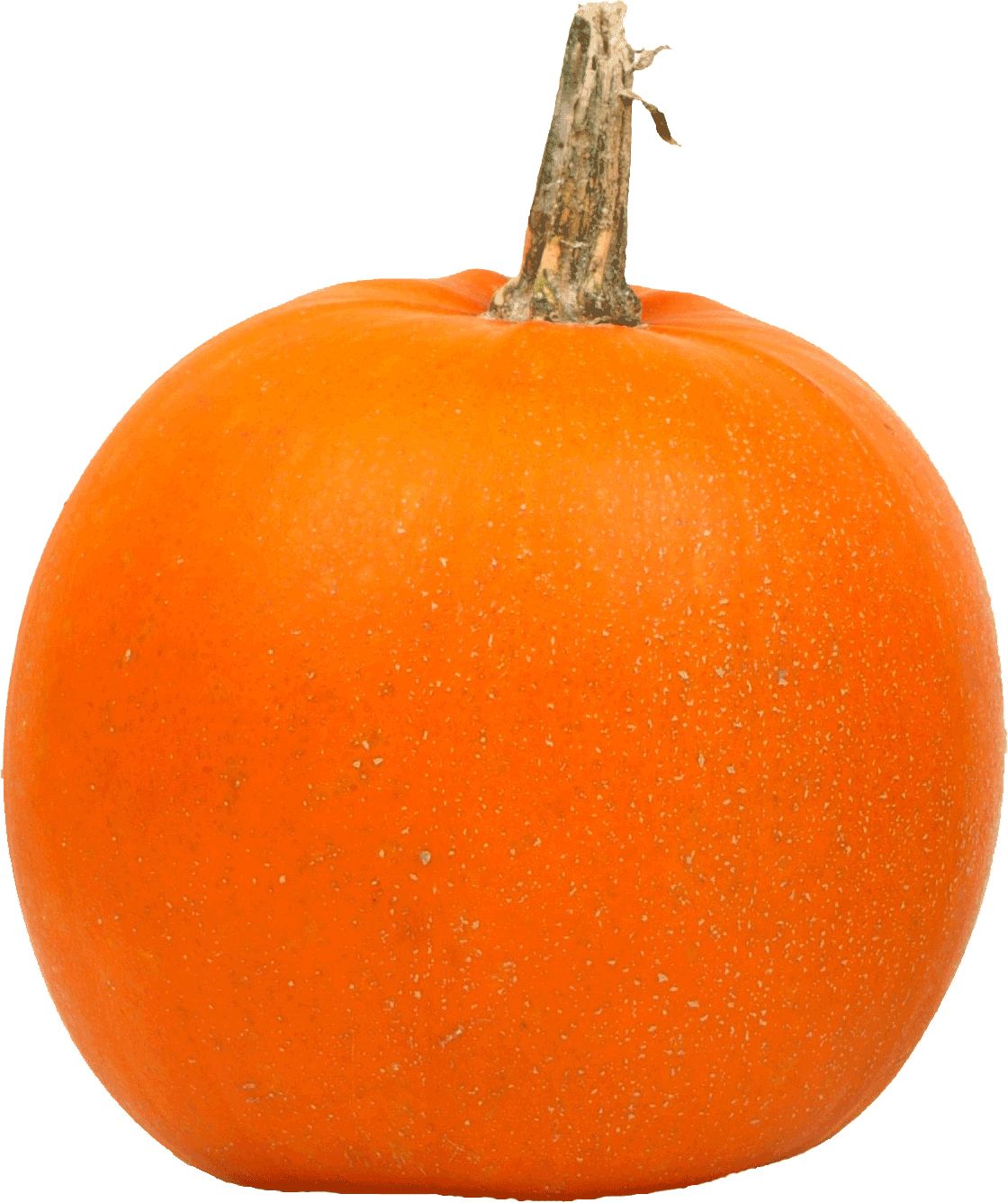 Pumpkin PNG    图片编号:86663