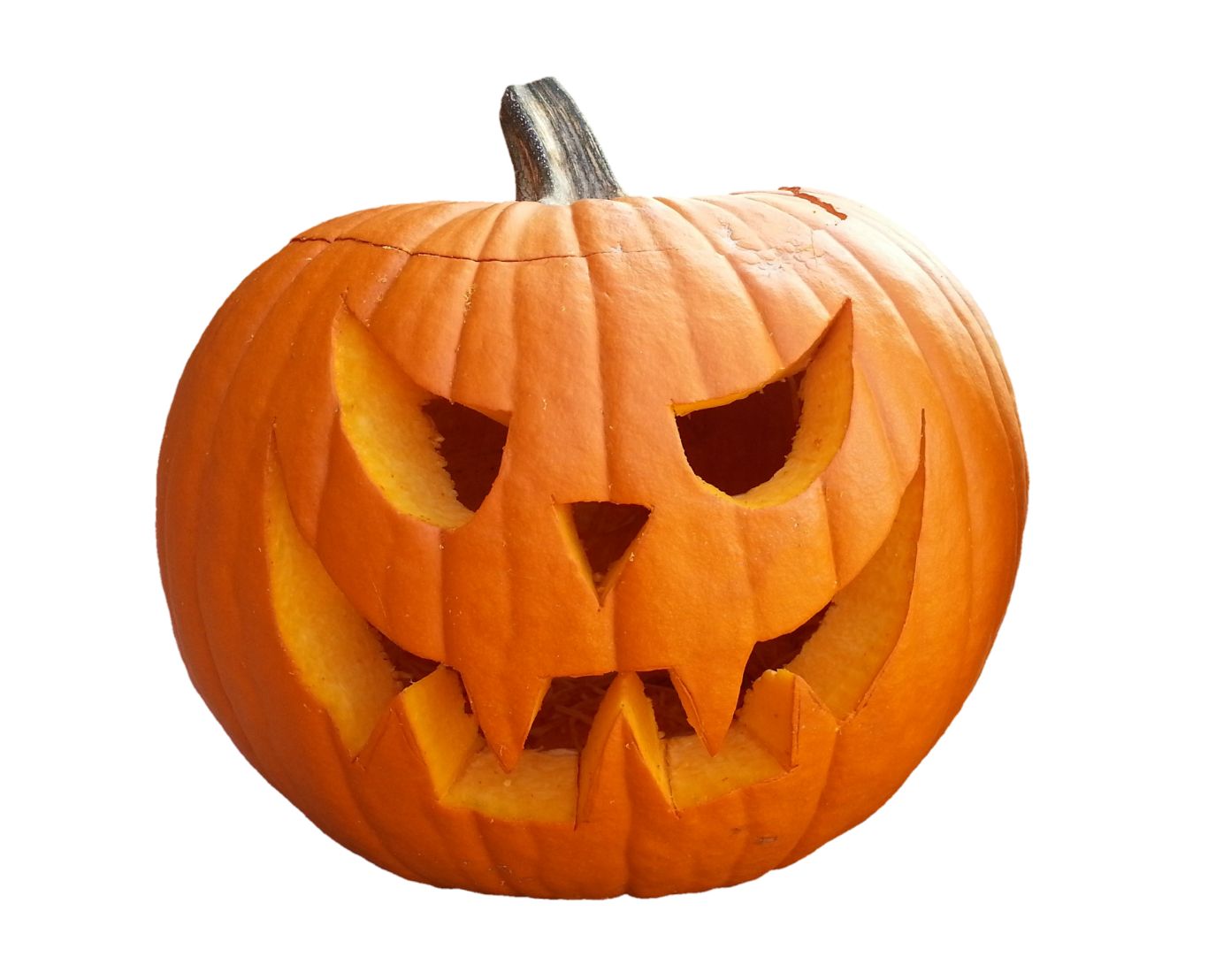 Pumpkin PNG    图片编号:86670