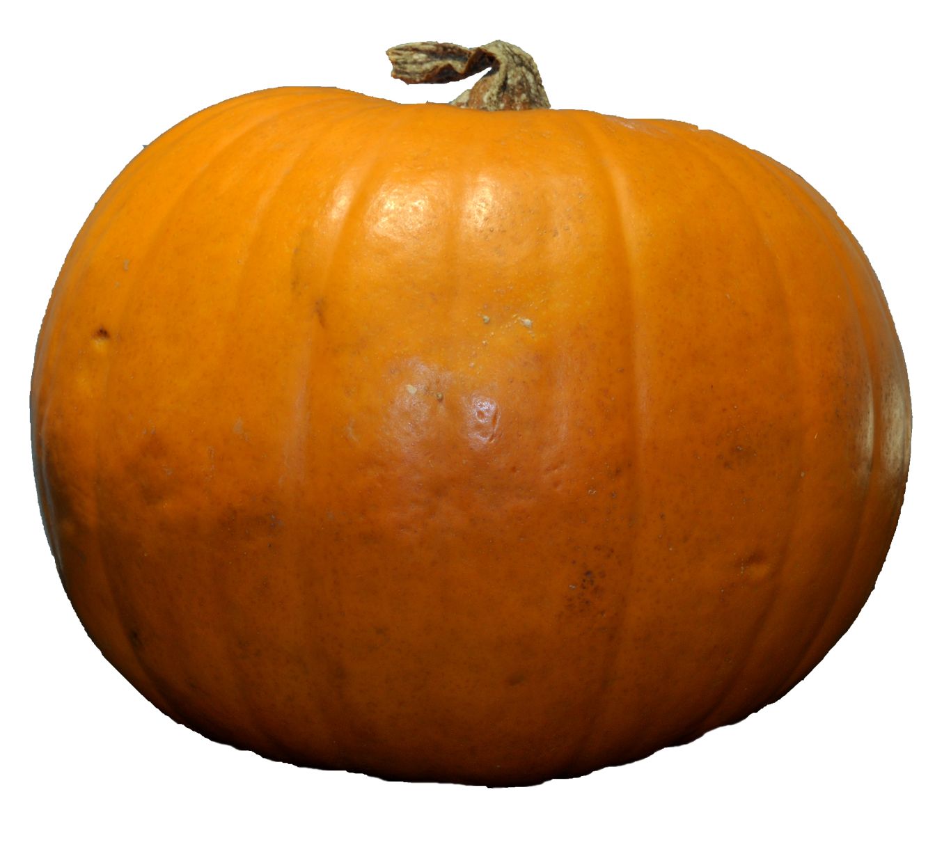 Pumpkin PNG    图片编号:86700