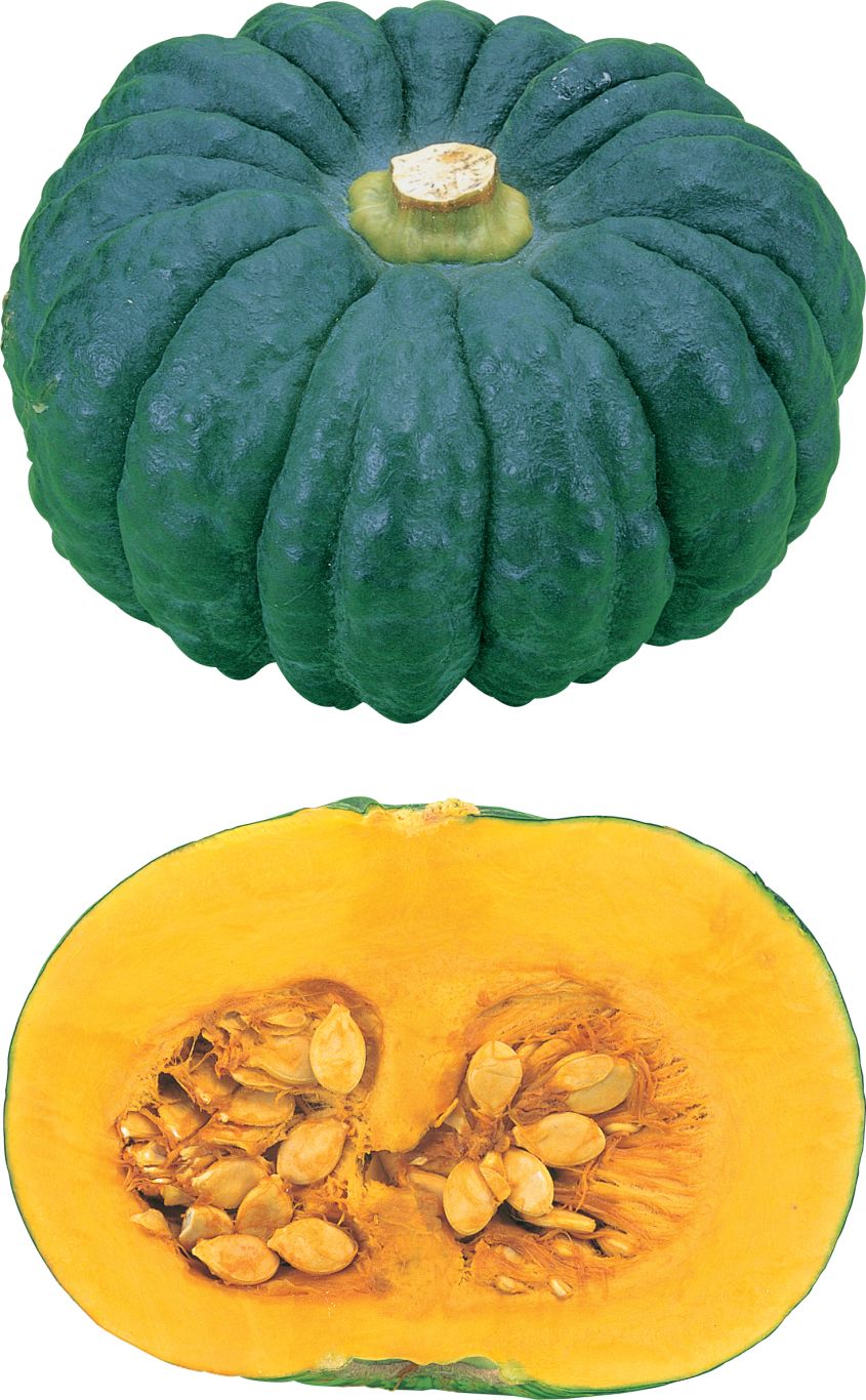 Pumpkin PNG    图片编号:86706