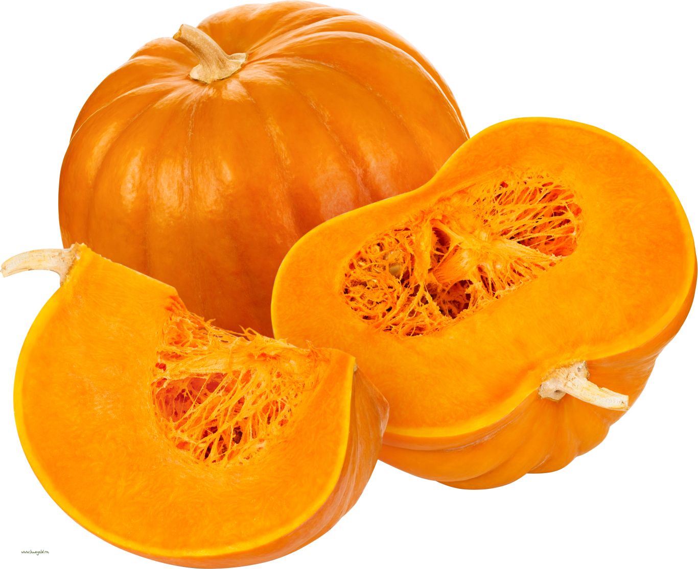 Pumpkin PNG    图片编号:86710