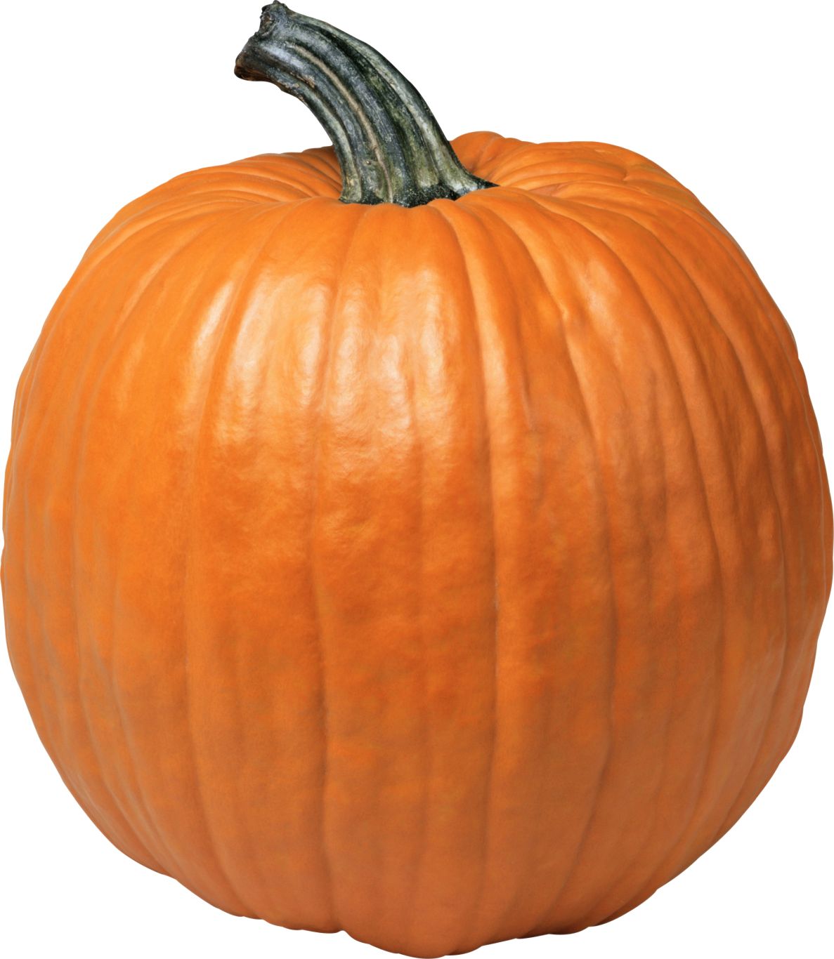 Pumpkin PNG    图片编号:86717