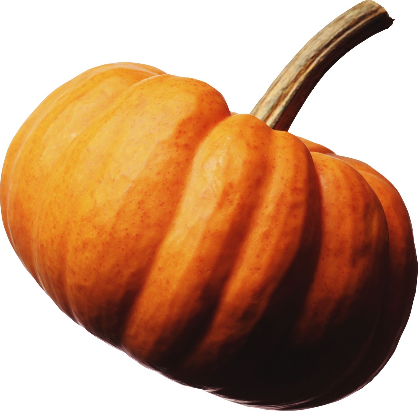 Pumpkin PNG    图片编号:86718