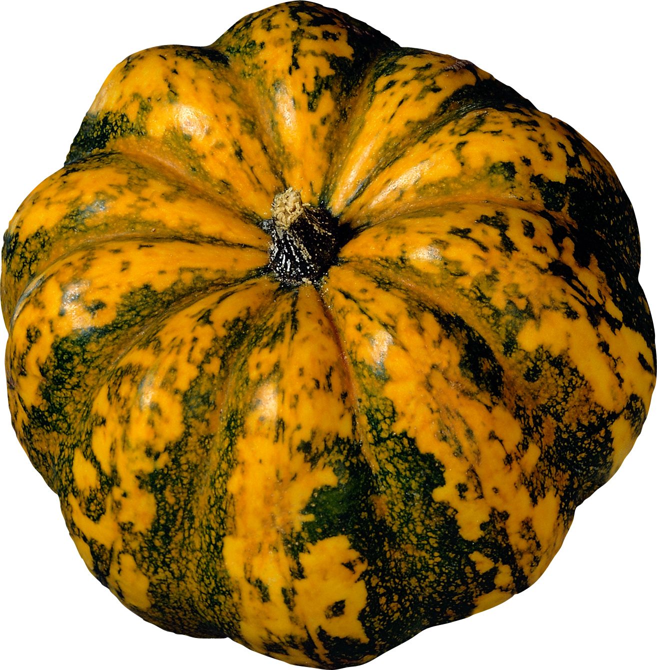Pumpkin PNG    图片编号:86727