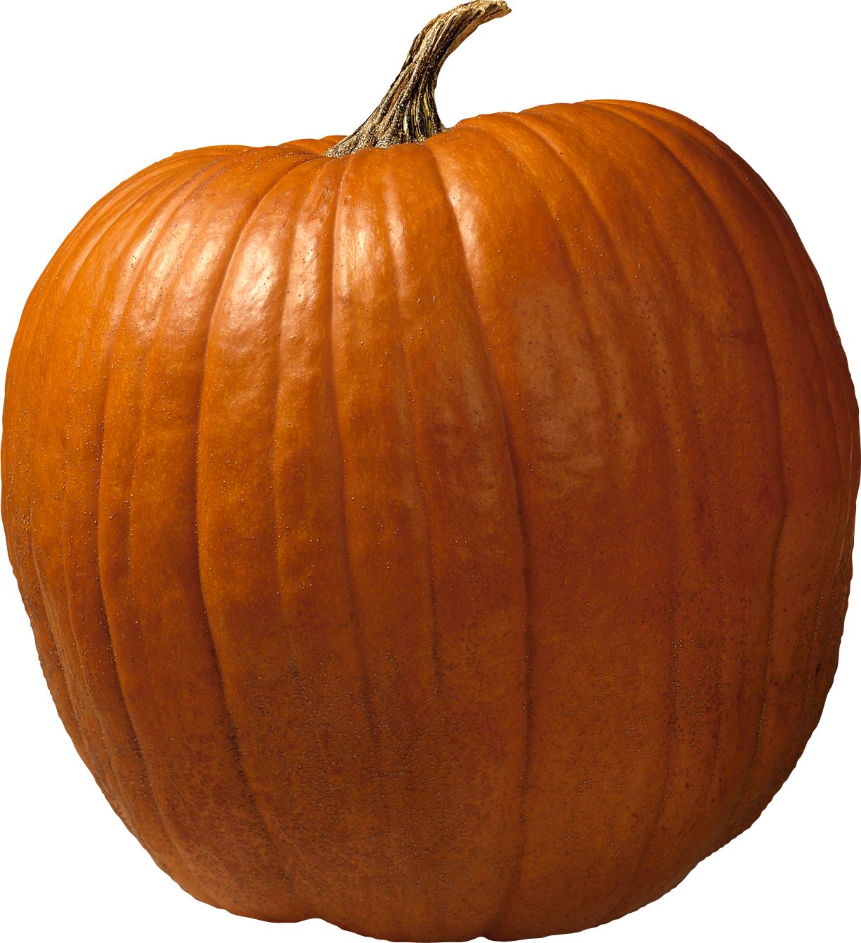 Pumpkin PNG    图片编号:86728