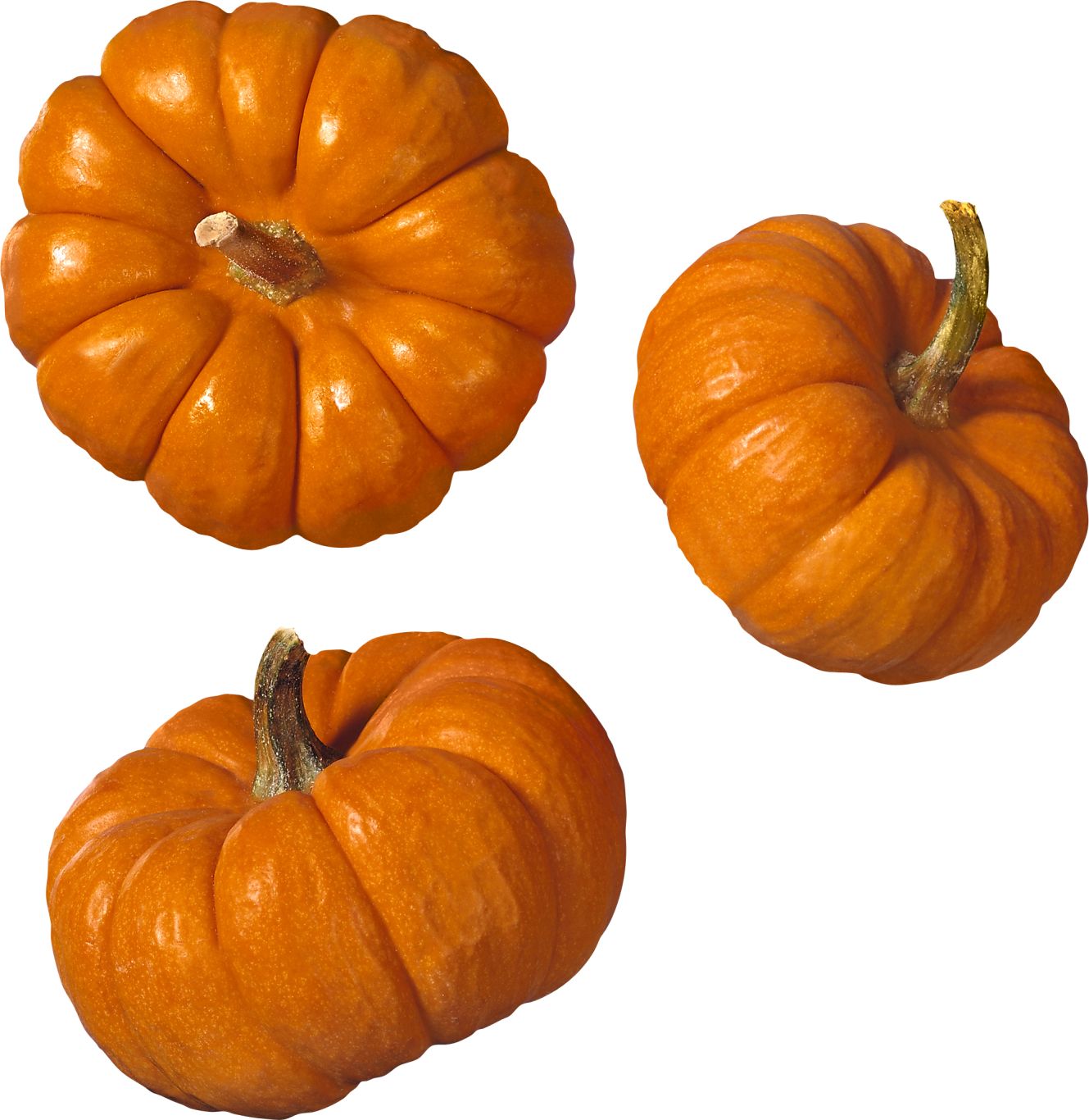 Pumpkin PNG image    图片编号:9344