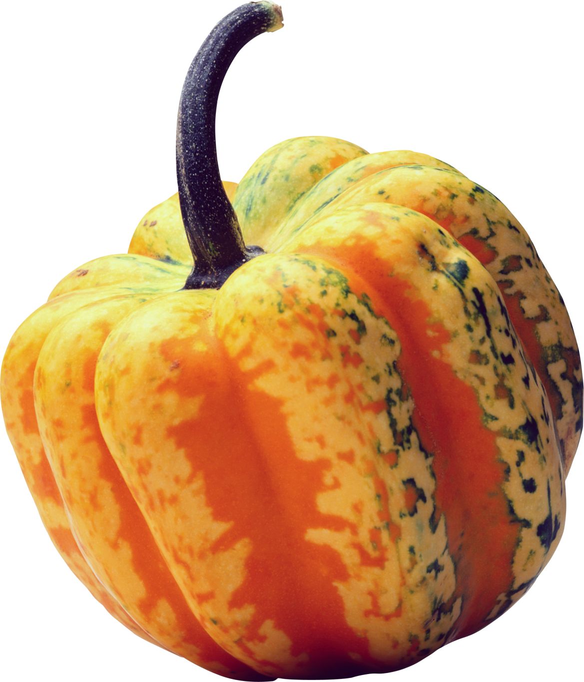 Pumpkin PNG image    图片编号:9348