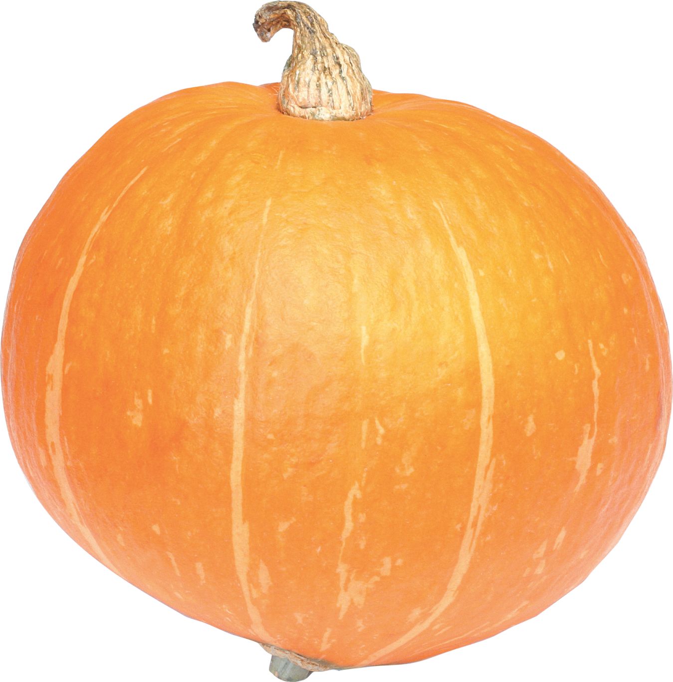 Pumpkin PNG image    图片编号:9350