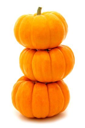 Pumpkin PNG image    图片编号:9369