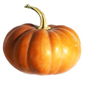 Pumpkin PNG image    图片编号:9373