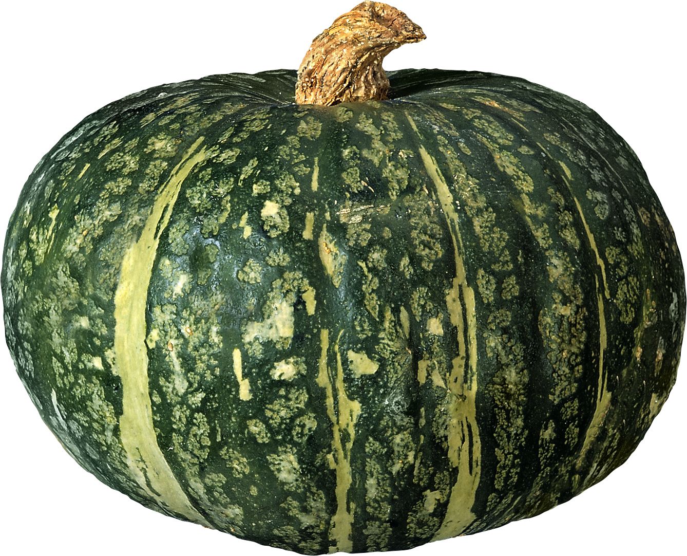 Pumpkin PNG image    图片编号:9377