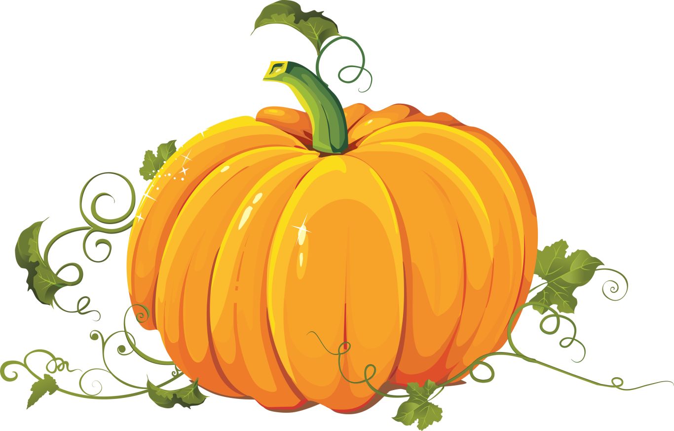 Pumpkin PNG image    图片编号:9383