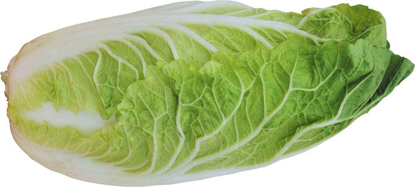 Salad PNG image    图片编号:2815
