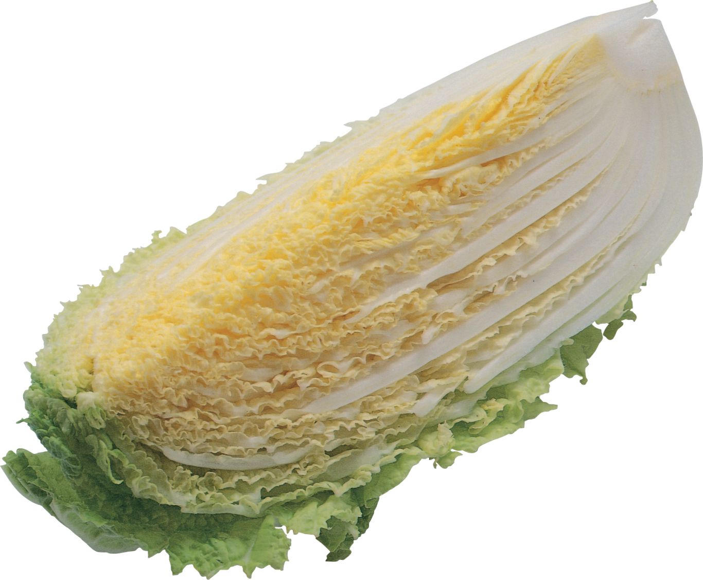 Salad PNG image    图片编号:2816
