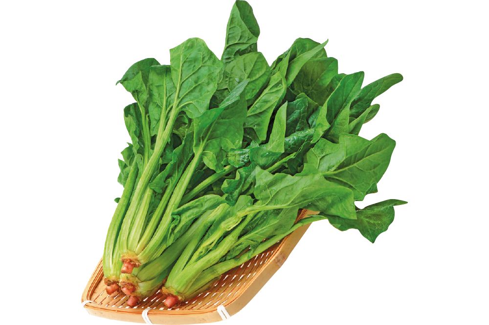 Spinach PNG    图片编号:79133