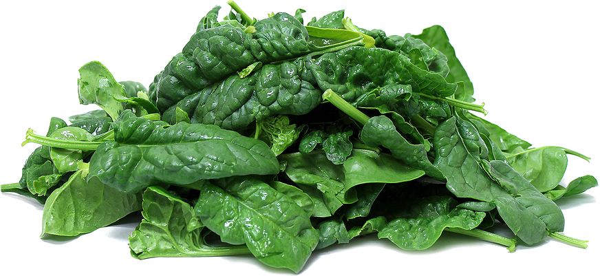 Spinach PNG    图片编号:79139