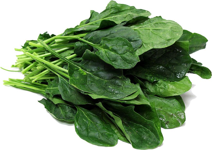 Spinach PNG    图片编号:79140