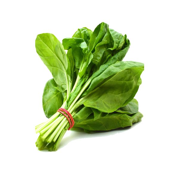 Spinach PNG    图片编号:79141