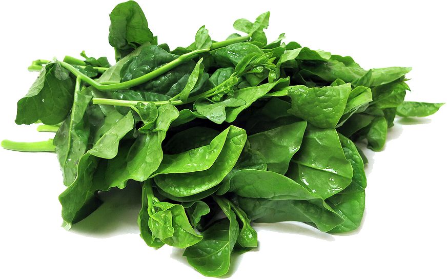 Spinach PNG    图片编号:79143