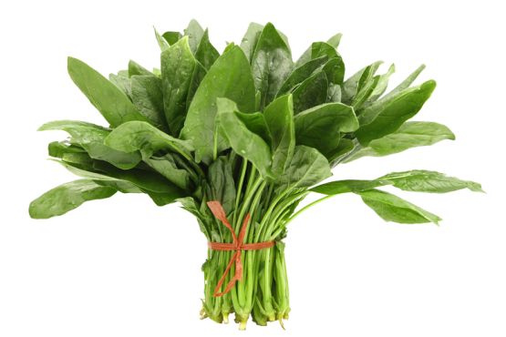 Spinach PNG    图片编号:79151