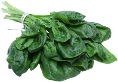 Spinach PNG    图片编号:79125