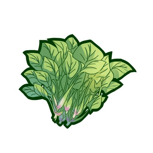 Spinach PNG    图片编号:79152