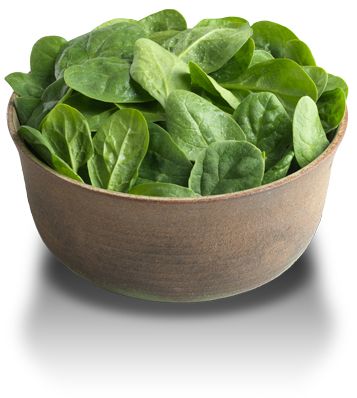 Spinach PNG    图片编号:79153
