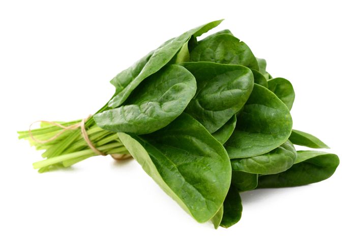 Spinach PNG    图片编号:79158