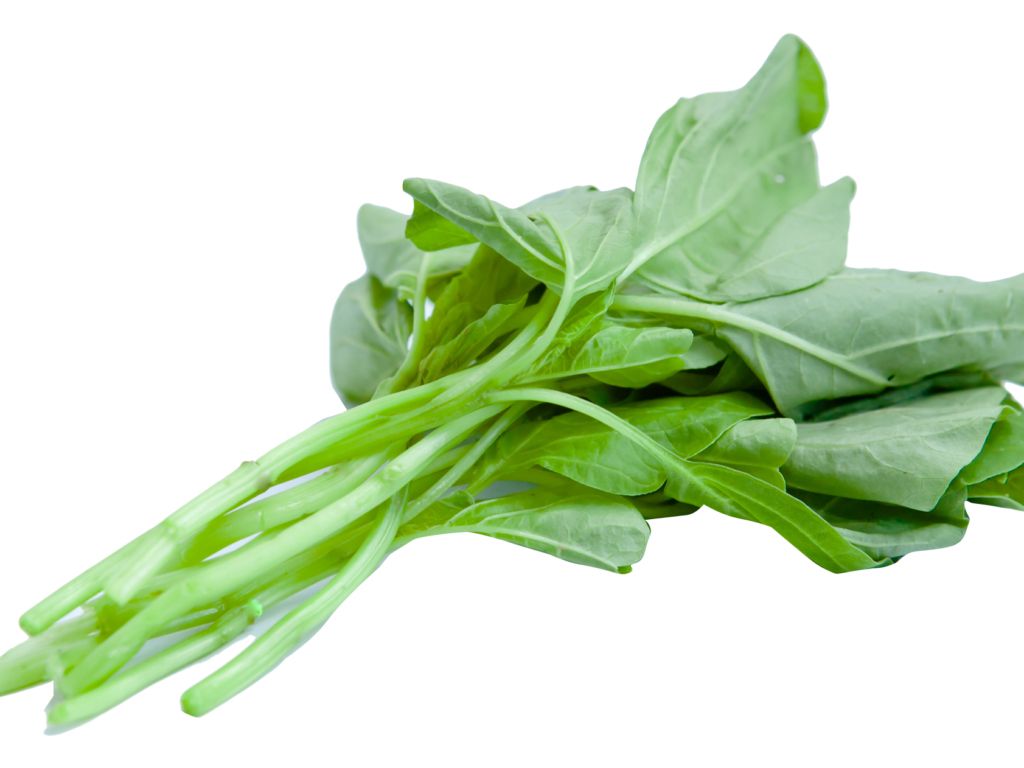 Spinach PNG    图片编号:79162