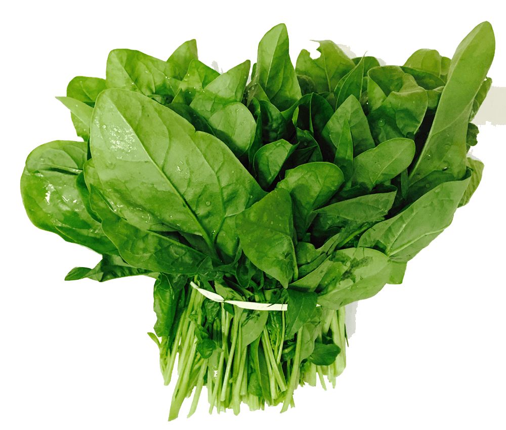 Spinach PNG    图片编号:79164