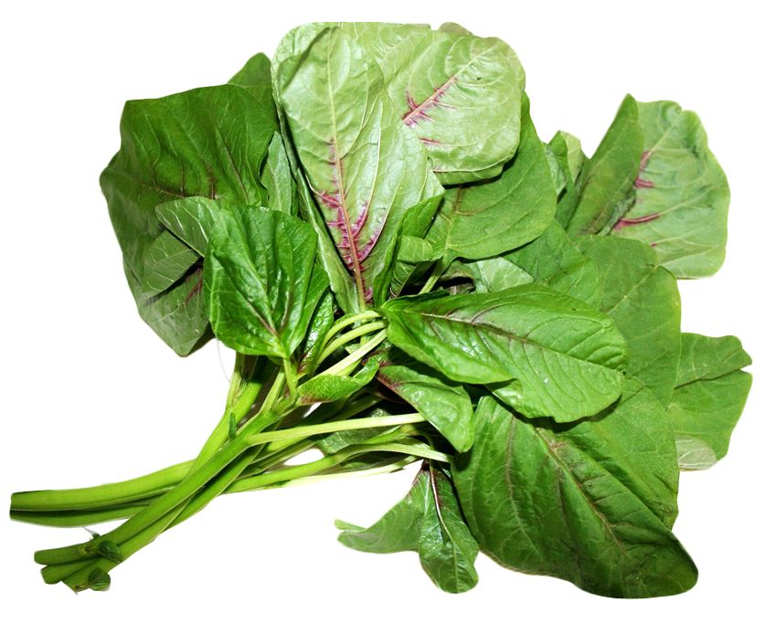 Spinach PNG    图片编号:79165