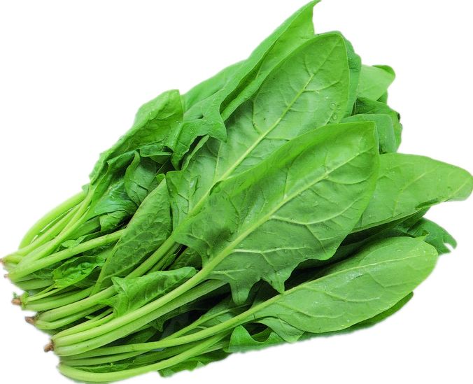Spinach PNG    图片编号:79127