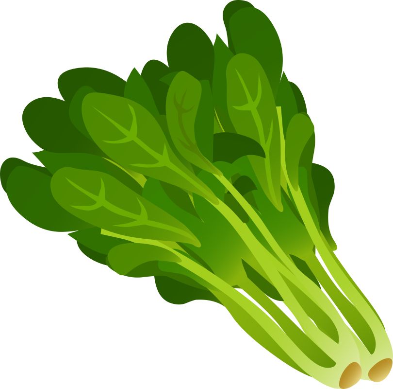 Spinach PNG    图片编号:79174