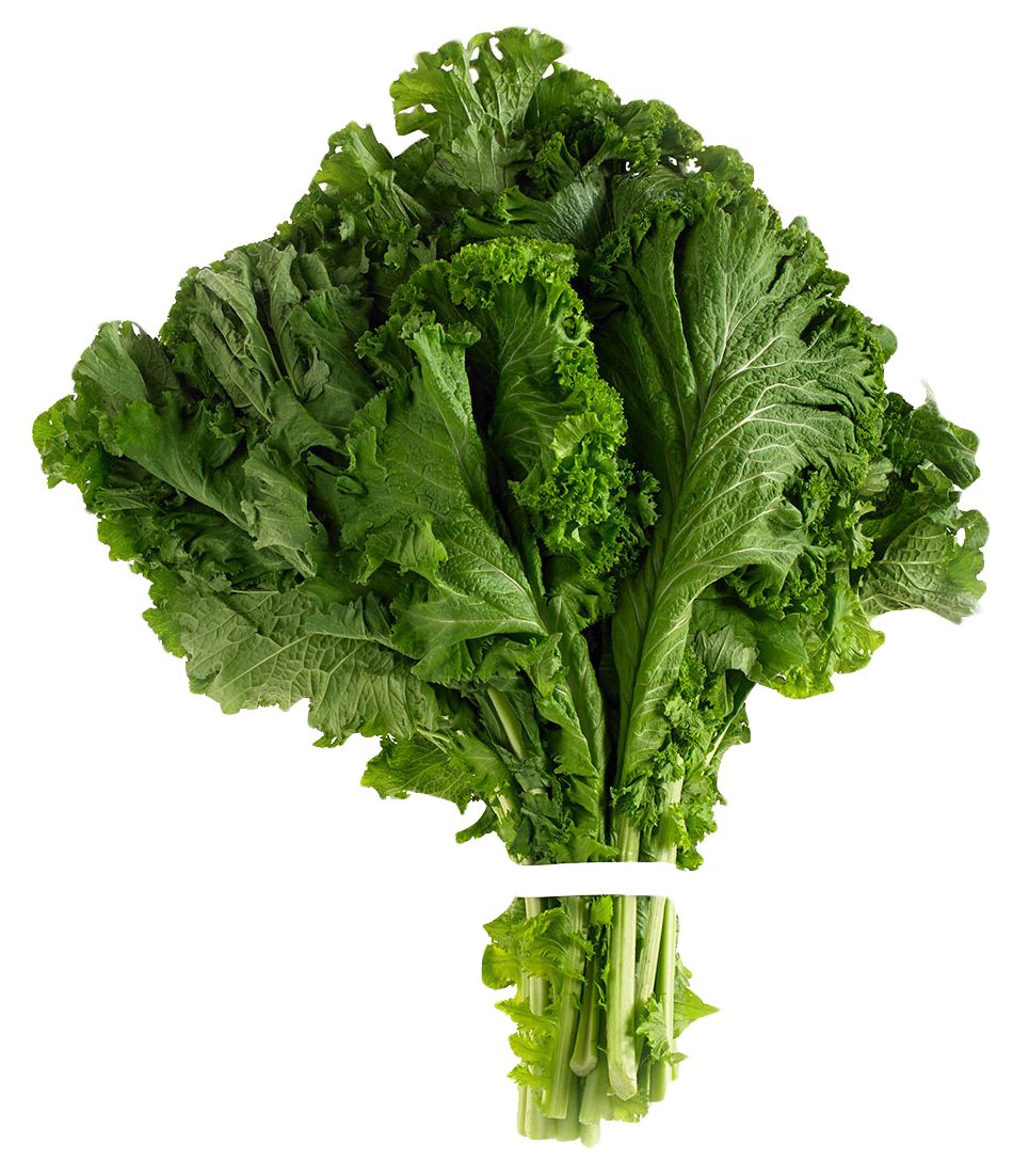 Spinach PNG    图片编号:79175